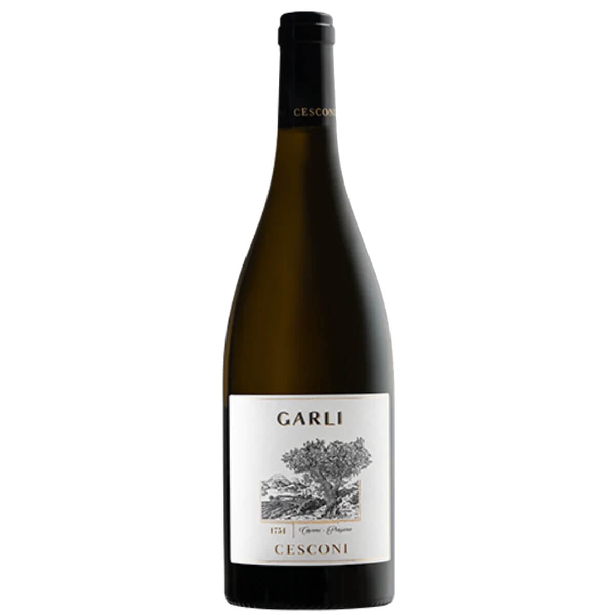 CHARDONNAY RISERVA “GARLI” ORGANIC | Cesconi – AtelierVino