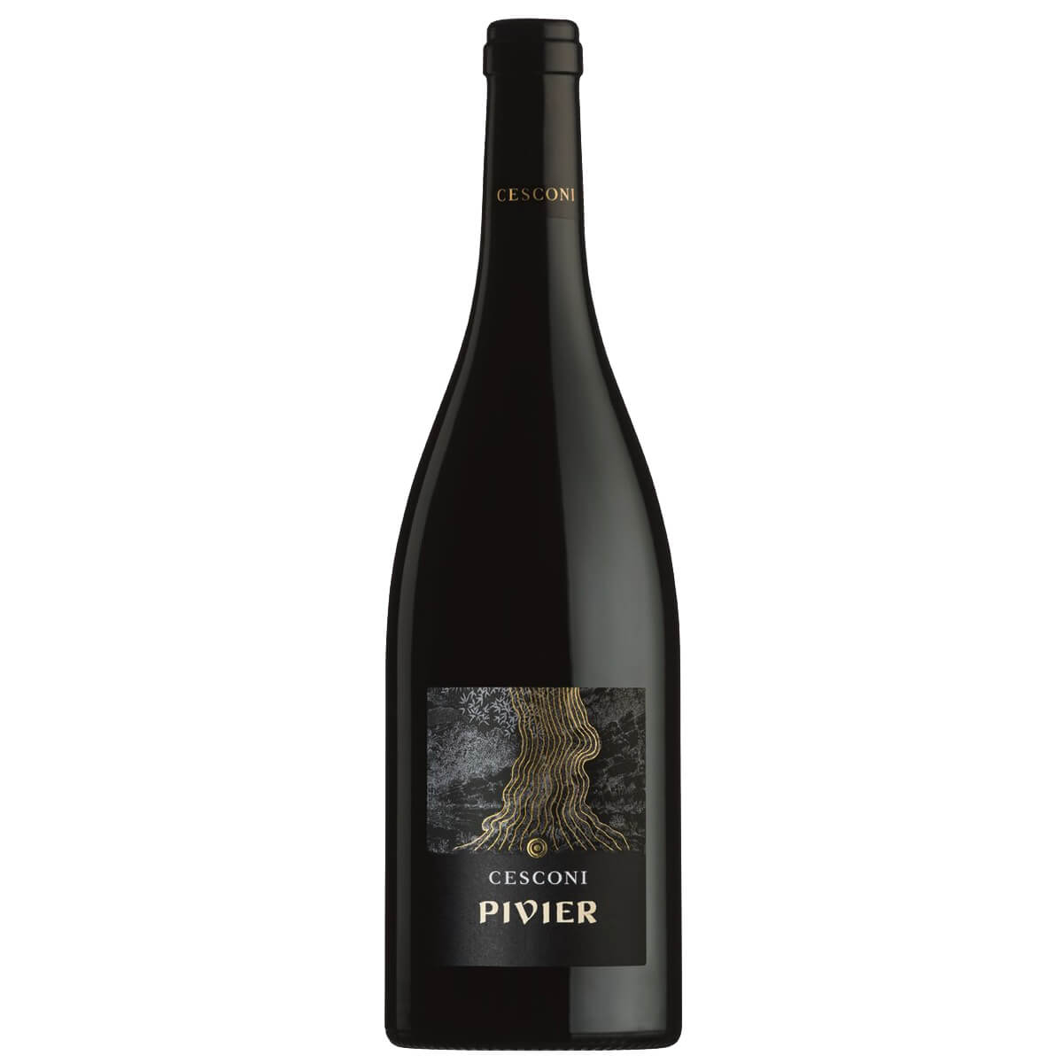 MERLOT RISERVA &quot;PIVIER&quot;  BIO  | Cesconi