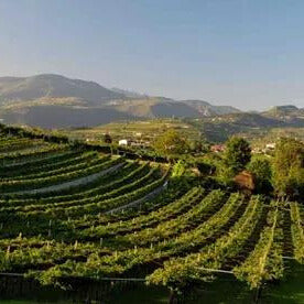 Le Ragose VALPOLICELLA RIPASSO SUPERIORE DOC | Le Ragose – AtelierVino